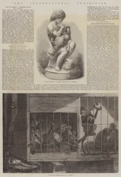 A exposição internacional